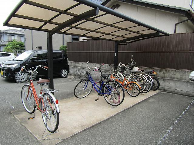 オーキッドA
