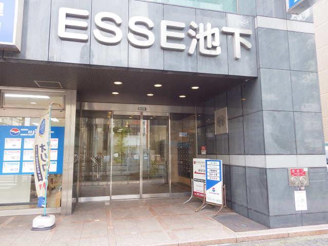 ESSE池下