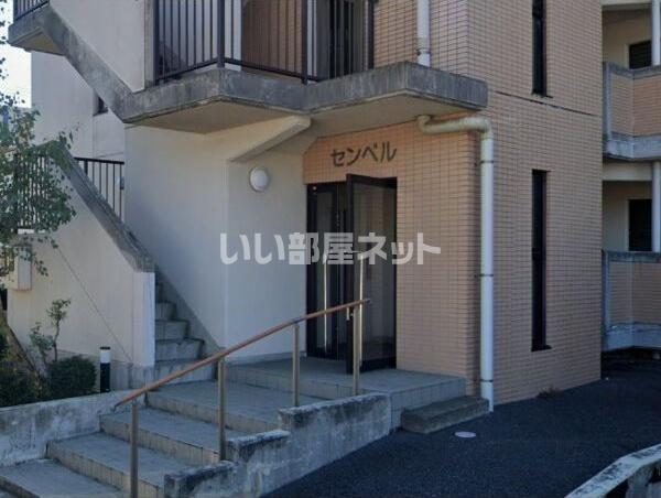 センペル