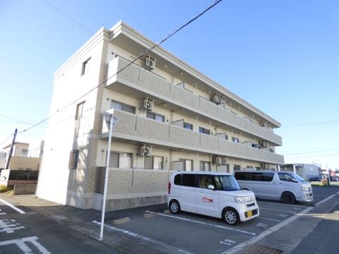 MSドリームVIII