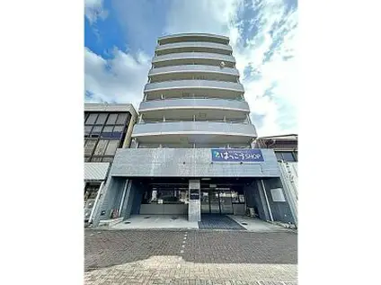 ライフステージ徳川(1LDK/4階)の外観写真