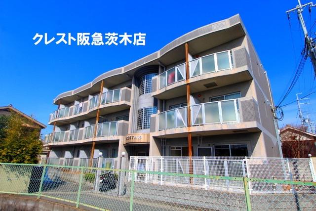 フォレスター19