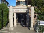HAPUNA高石
