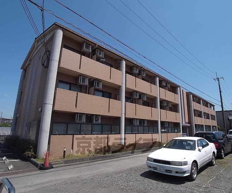 クローバー36
