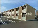 レオネクストはなみずき