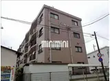エバーグリーン