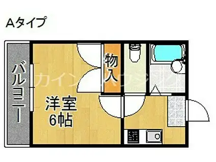 レオパレスサウスフォレスト(1K/1階)の間取り写真