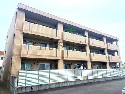 グリーンツリーII