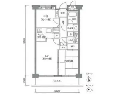 ステラコート(2LDK/2階)の間取り写真