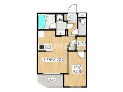 アイル グランデ赤羽(1LDK/4階)の間取り写真