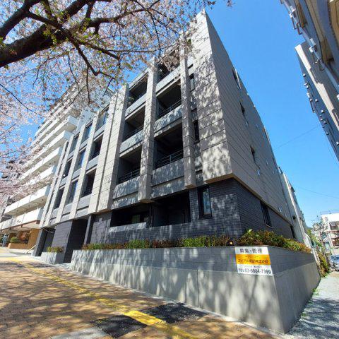 PRIMAVERA桜坂