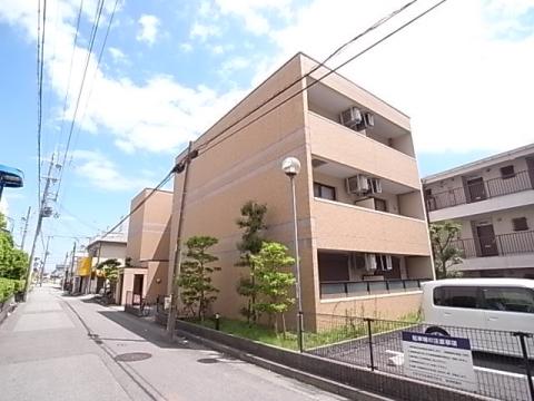 ジョイモアー