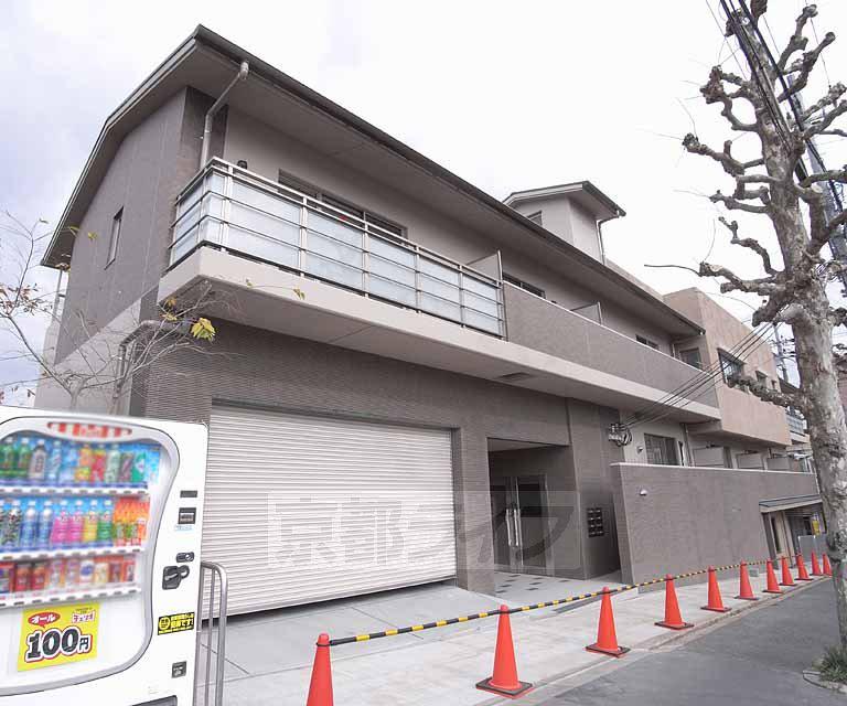 アムールさの