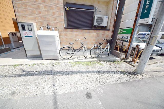 アムールブンゴ 916873