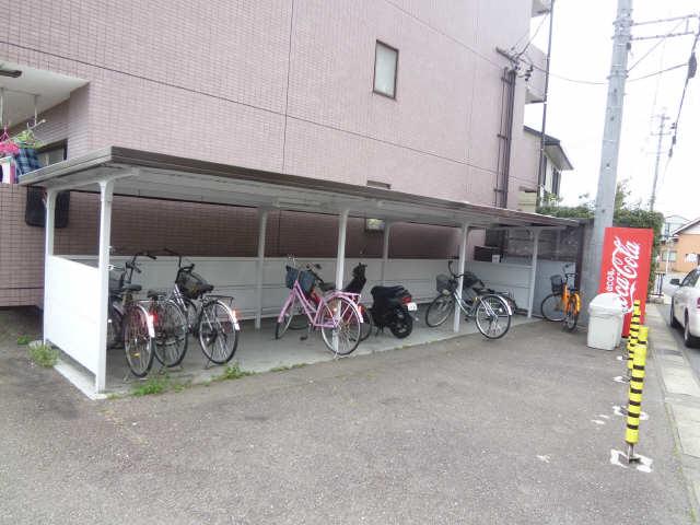 ラフィーネダイワ