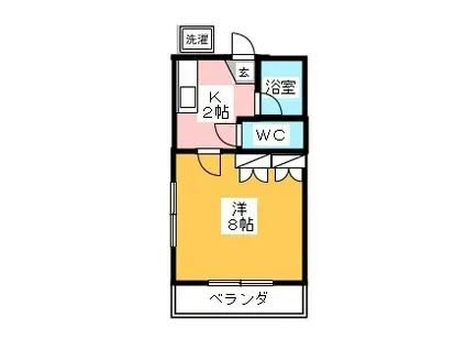 ホワイトハイツ(1K/2階)の間取り写真