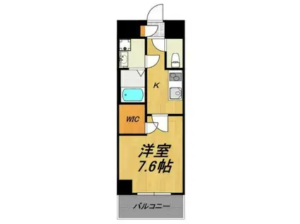 TIRAPALACE天神山(1K/7階)の間取り写真