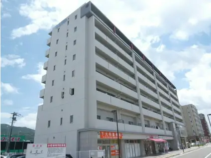 サンアトラスV(2LDK/8階)の外観写真