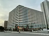 東京ベイ・リベロシティ