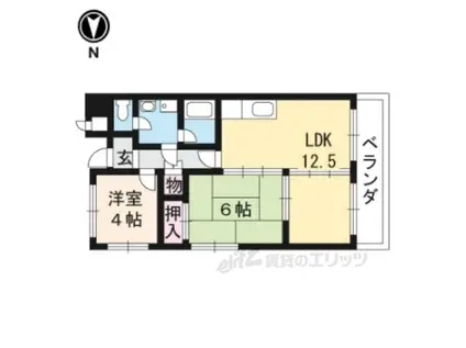 ロイヤルオーク(2LDK/1階)の間取り写真