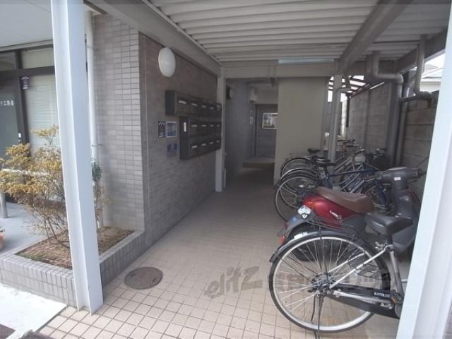 CASA 井
