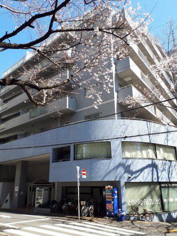 ウィルテラス南大塚