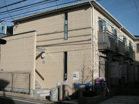 カモミール