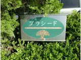 プラシード