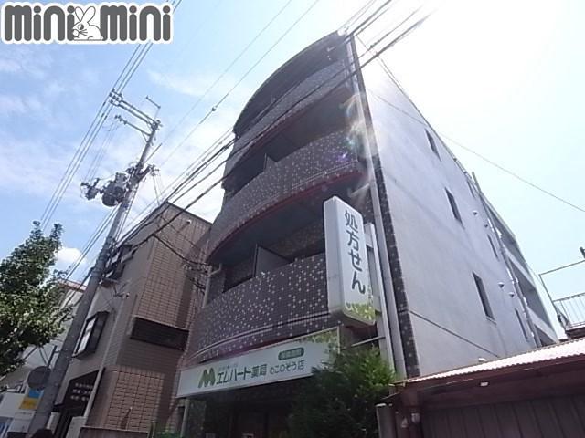 コニファ-