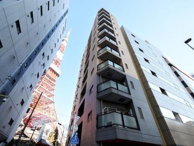ベルファース東麻布(ワンルーム/10階)