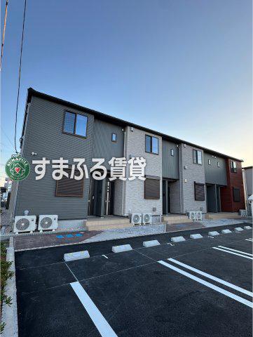 カメリア アオキ