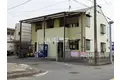 ペンギン村