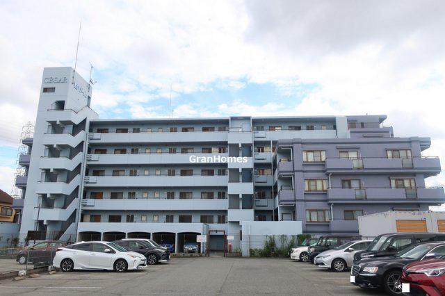 セザール加古川
