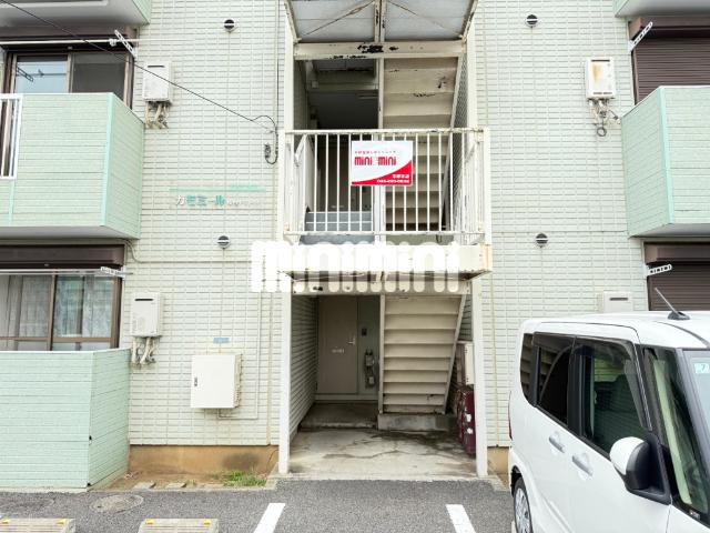 カモミール