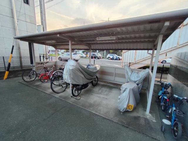 ストリーム