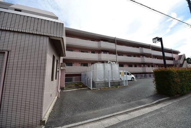 サンマグノリア