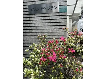 メゾンドブラン(1K/2階)の外観写真