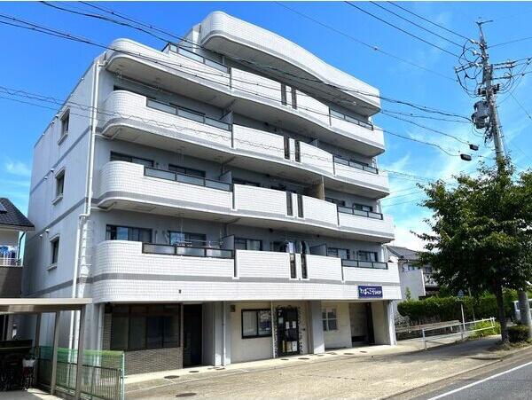 ルミエール鯛取