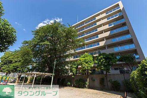 TSGARDEN北柏1号棟(2LDK/2階)