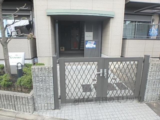 セレーノ