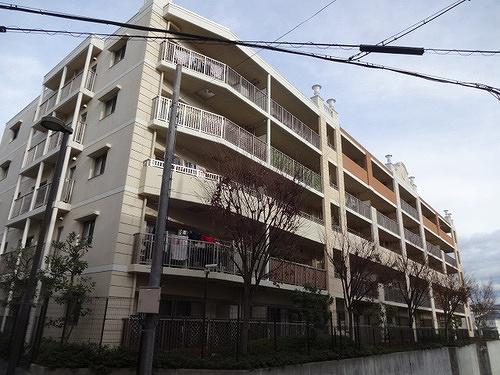 サンクタス・リビオ学園大和 花のみち
