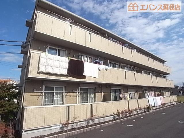 ロイヤルオーク(2LDK/1階)