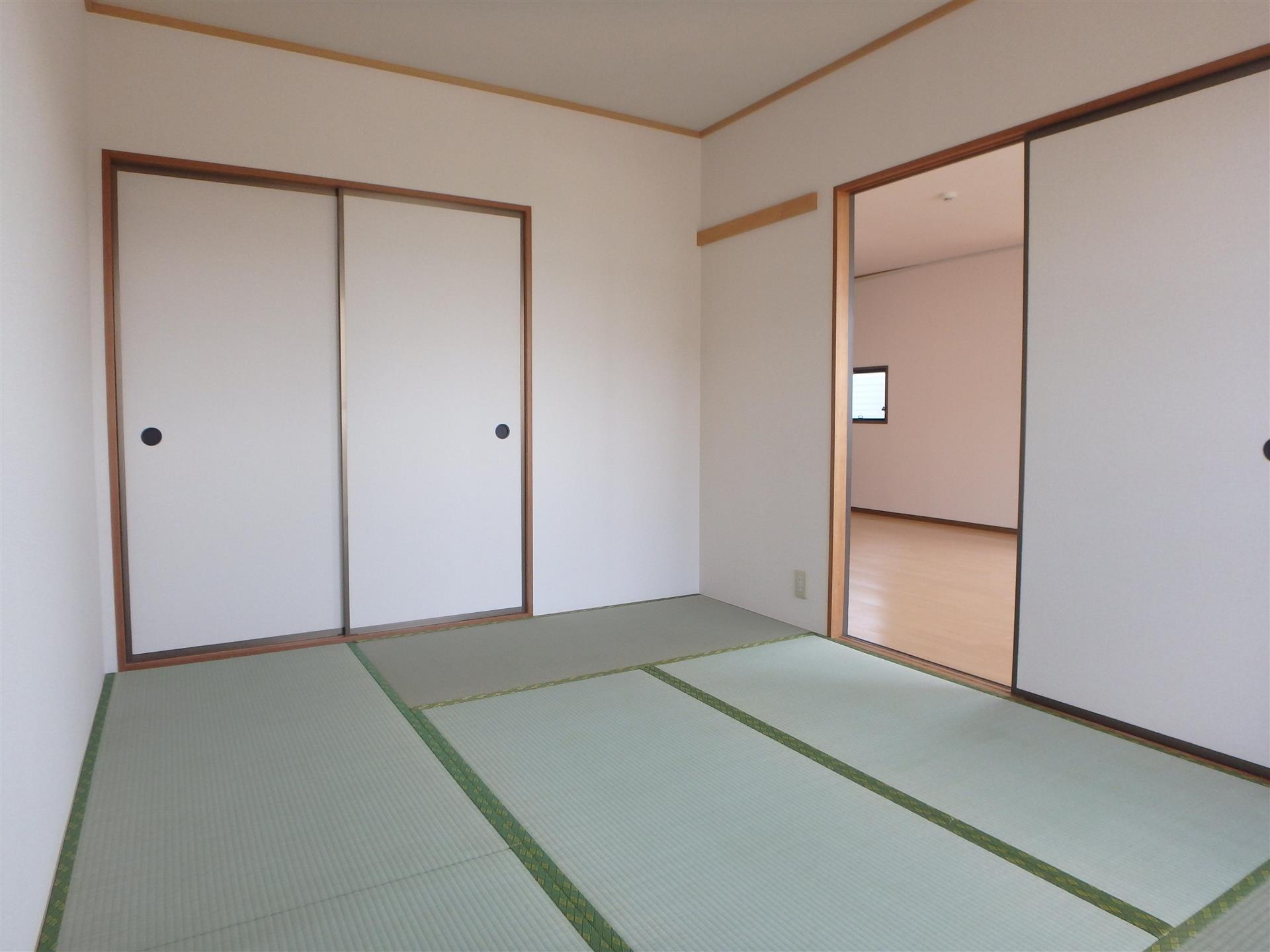 グリーンパラシオン5
