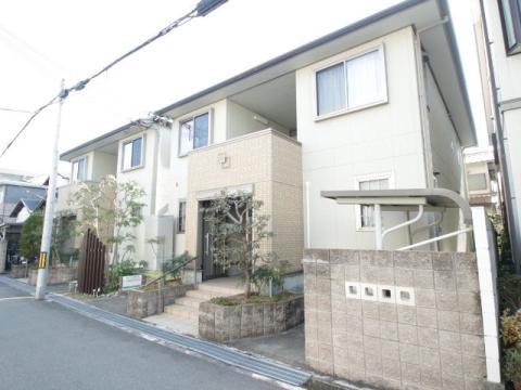 レア カ ハレ