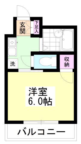 バージニアシティ(1K/3階)の間取り写真
