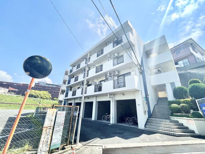 クローバー藤原