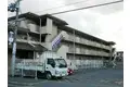 パレエレガンス