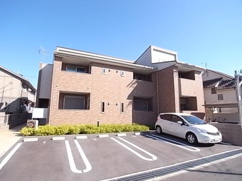 花水木 宝塚