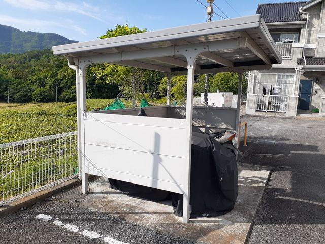 エヴァーグリーンA