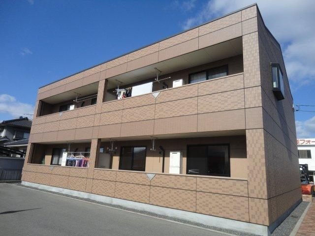 フィグトゥリーM